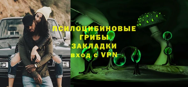 ГАЛЛЮЦИНОГЕННЫЕ ГРИБЫ Верея