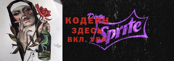 ГАЛЛЮЦИНОГЕННЫЕ ГРИБЫ Верея