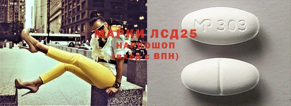 ГАЛЛЮЦИНОГЕННЫЕ ГРИБЫ Верея